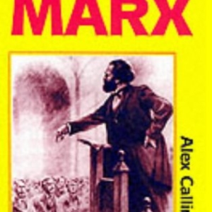 The Revolutionary Ideas of Karl Marx