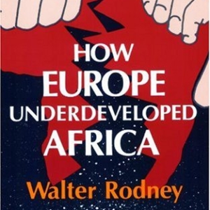 How Europe Underdeveloped Africa