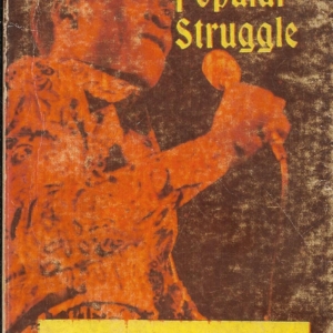 Essays in Popular Struggles